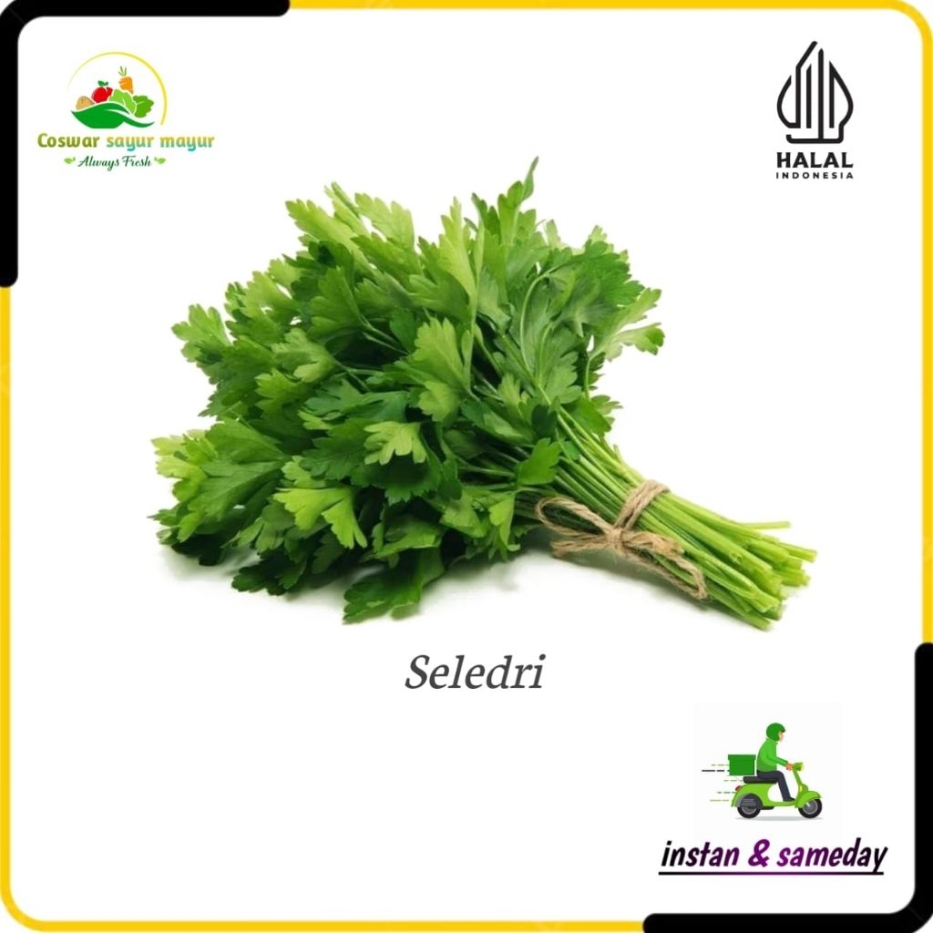 

{ 250 gram } seledri daun seledri penyedap/pewangi rasa kualitas terbaik