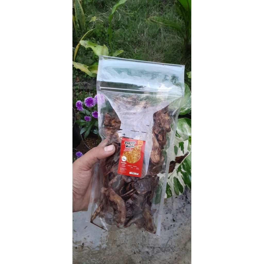 

keripik pisang kepok kuning - rasa cokelat 250gr