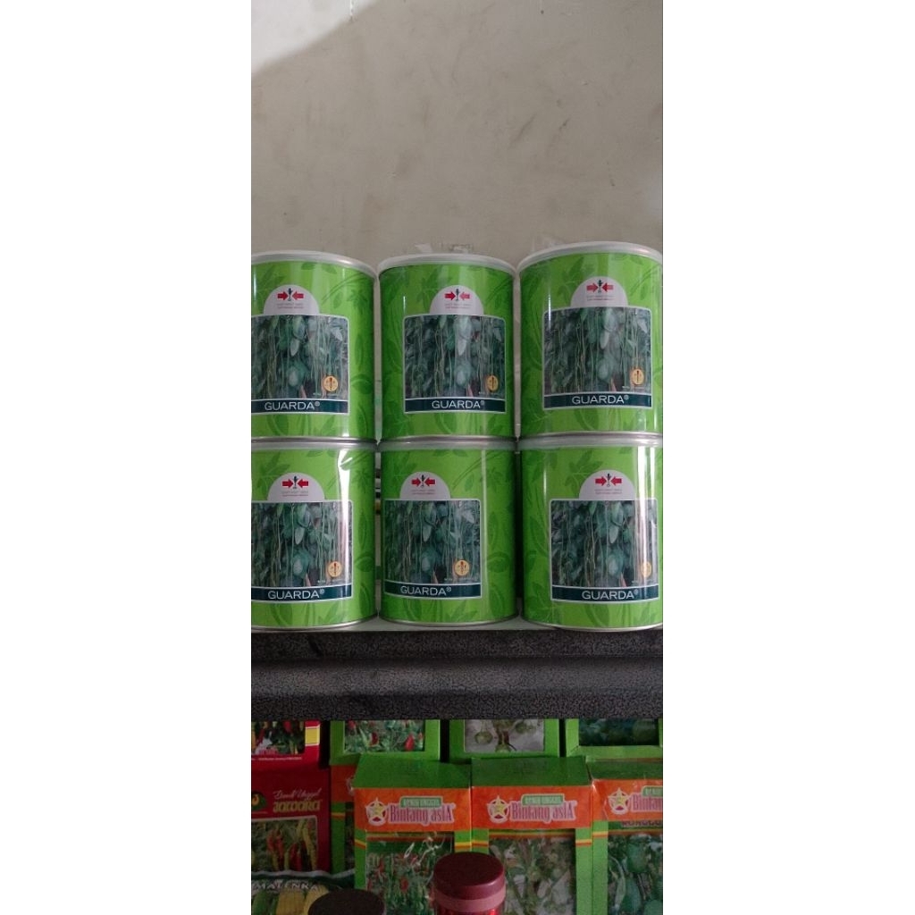 

Bibit Kacang Panjang Kaleng GUARDA 500 gr dari Panah merah