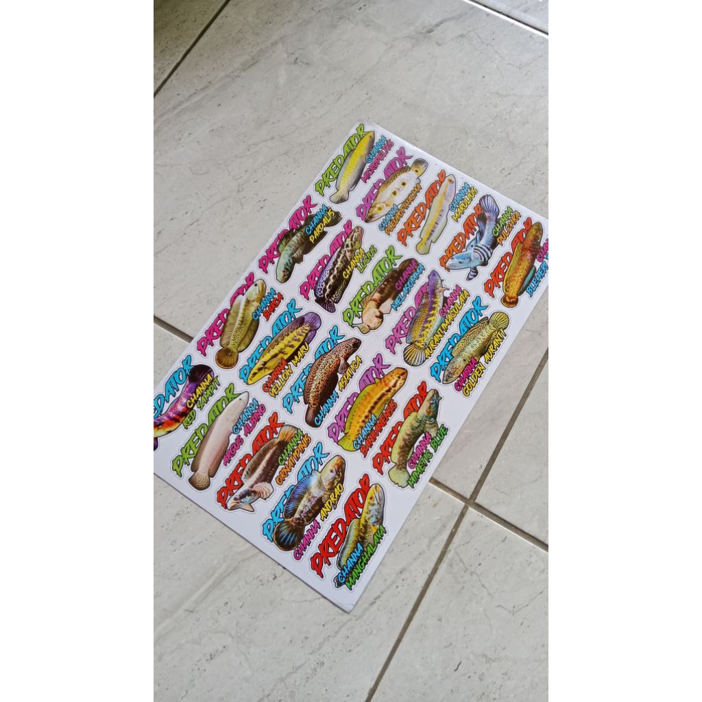 

STIKER IKAN CHANNA VIRAL