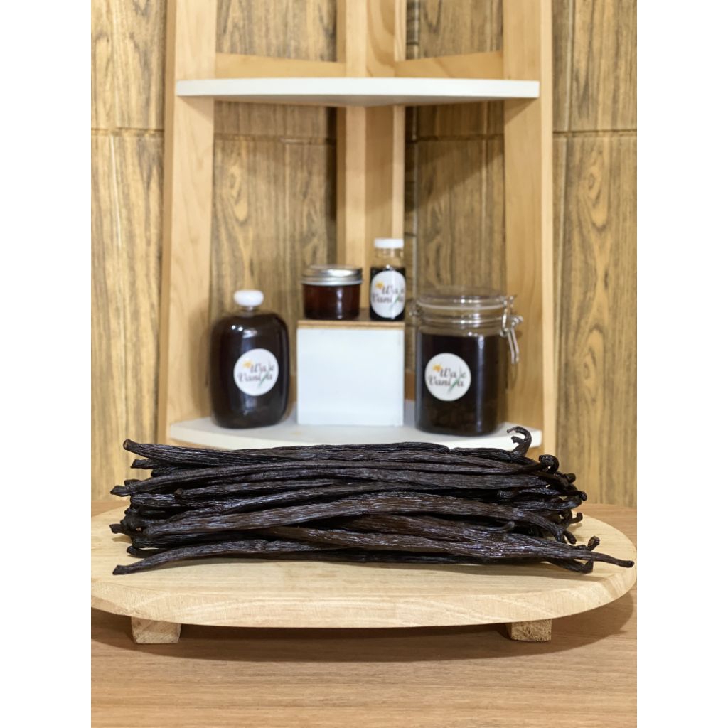 

Vanilla Bean Planifolia