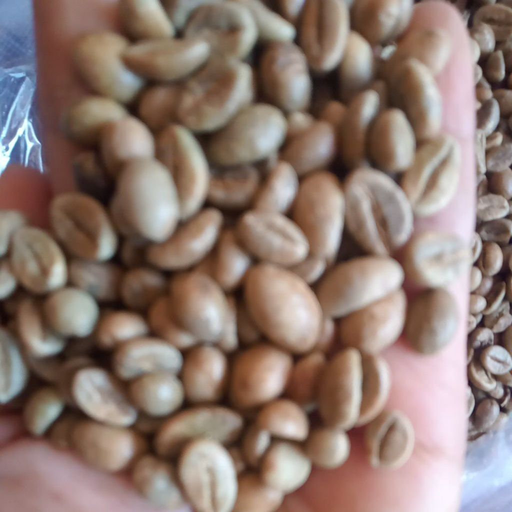 

robusta temanggung petik merah