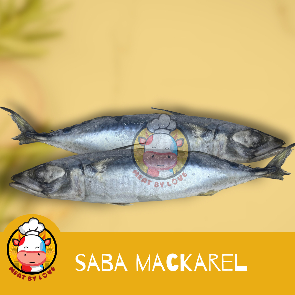 

Ikan Saba Mackarel Utuh