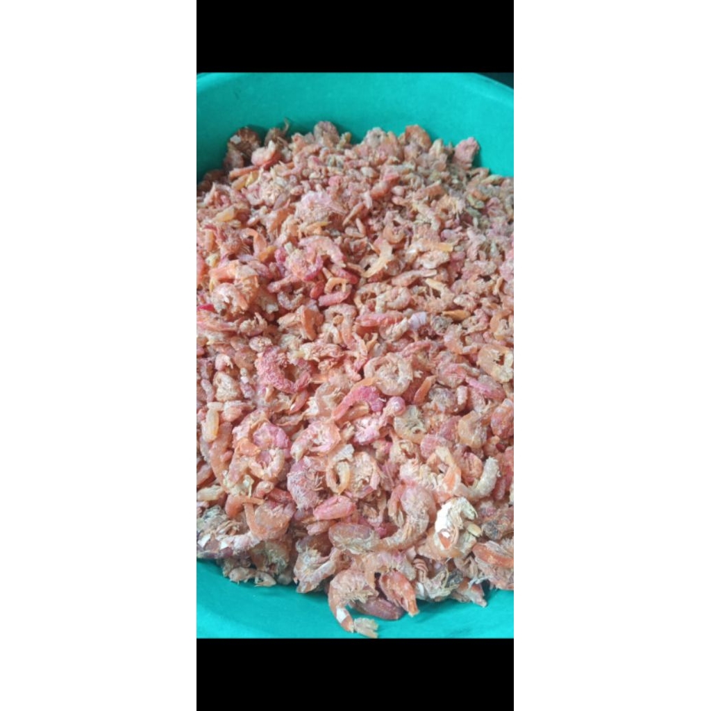 

ready udang kering
