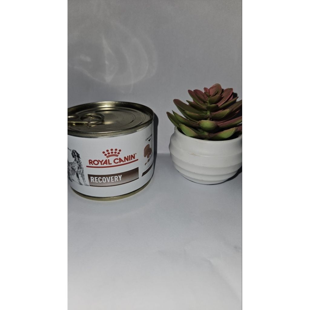 Royal Canin Recovery