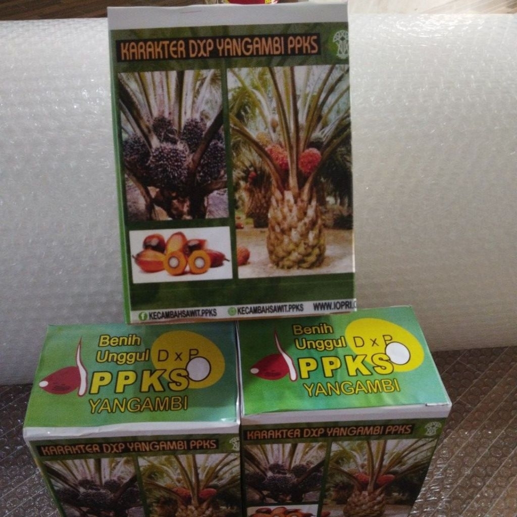 Bibit ppks yangambi isi 250 butir