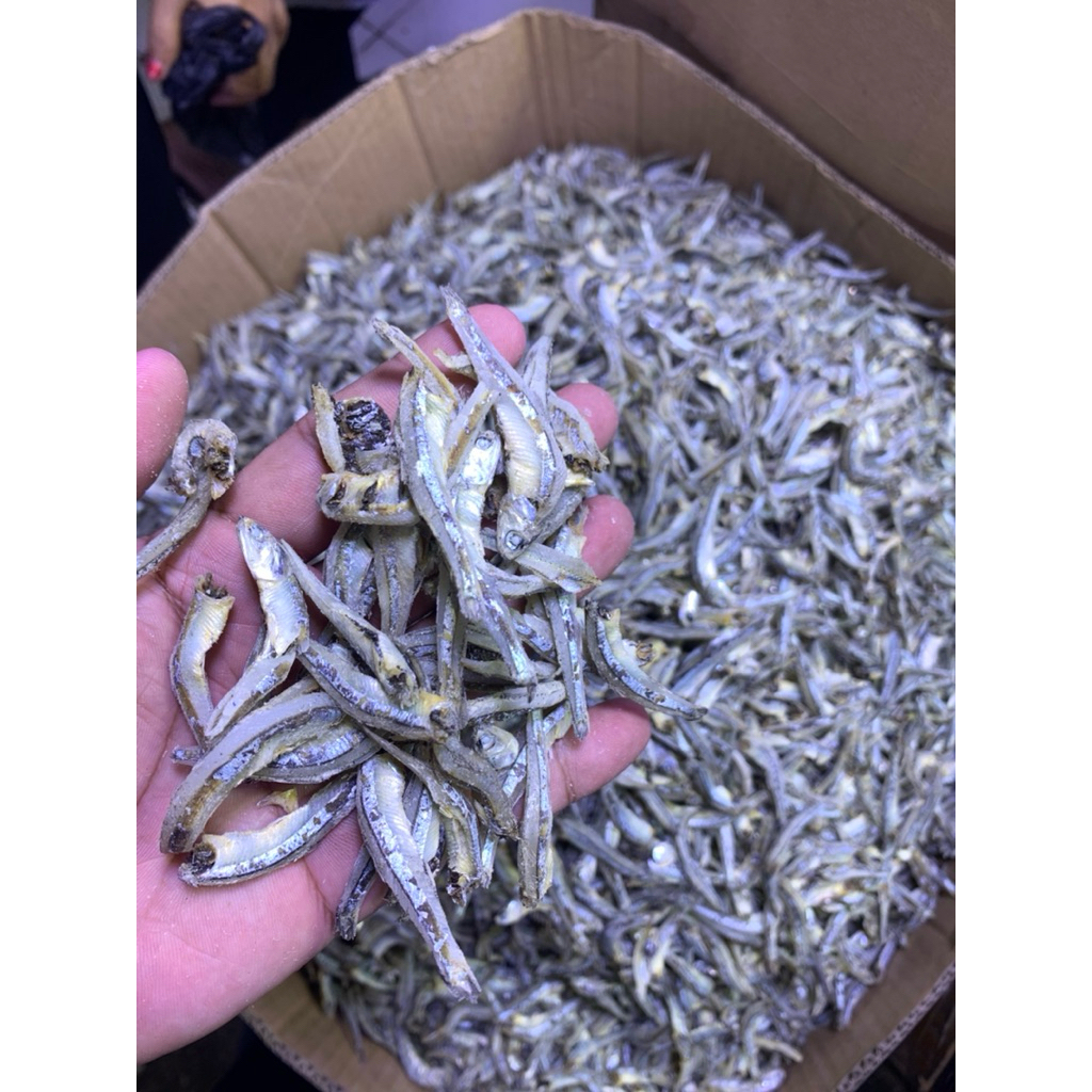 

IKAN TERI KACANG MEDAN