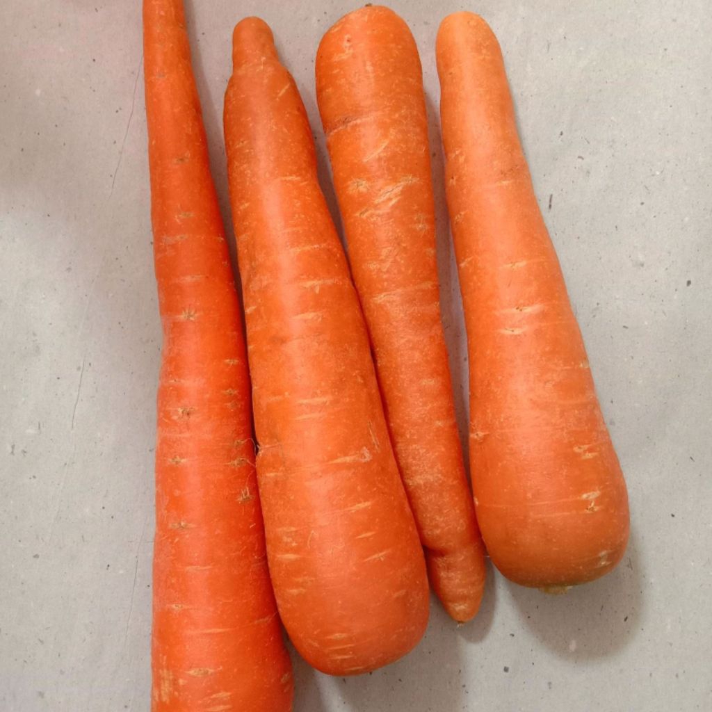 

wortel brastagi import 500gram