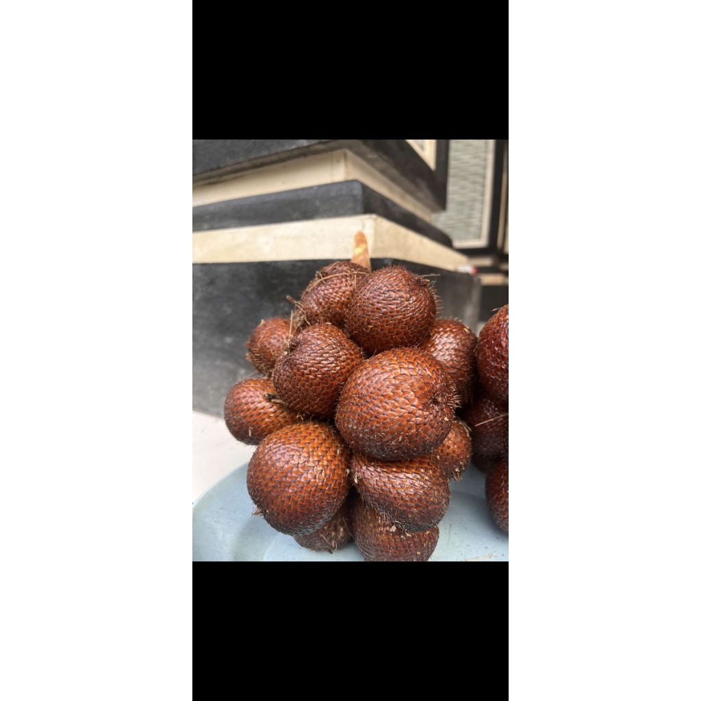 

Salak asam manis sepat karangasem bali