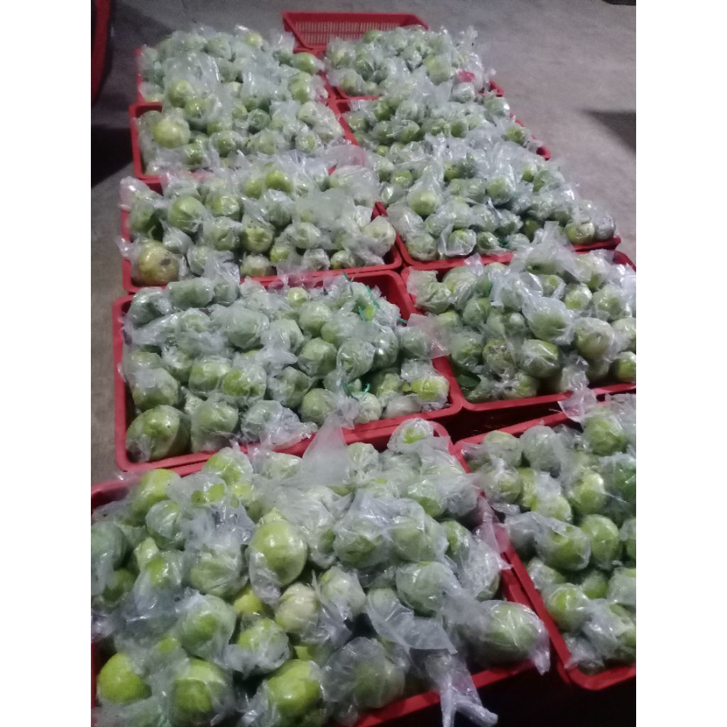 

jambu kristal fresh lebih hemat kemasan 5kg