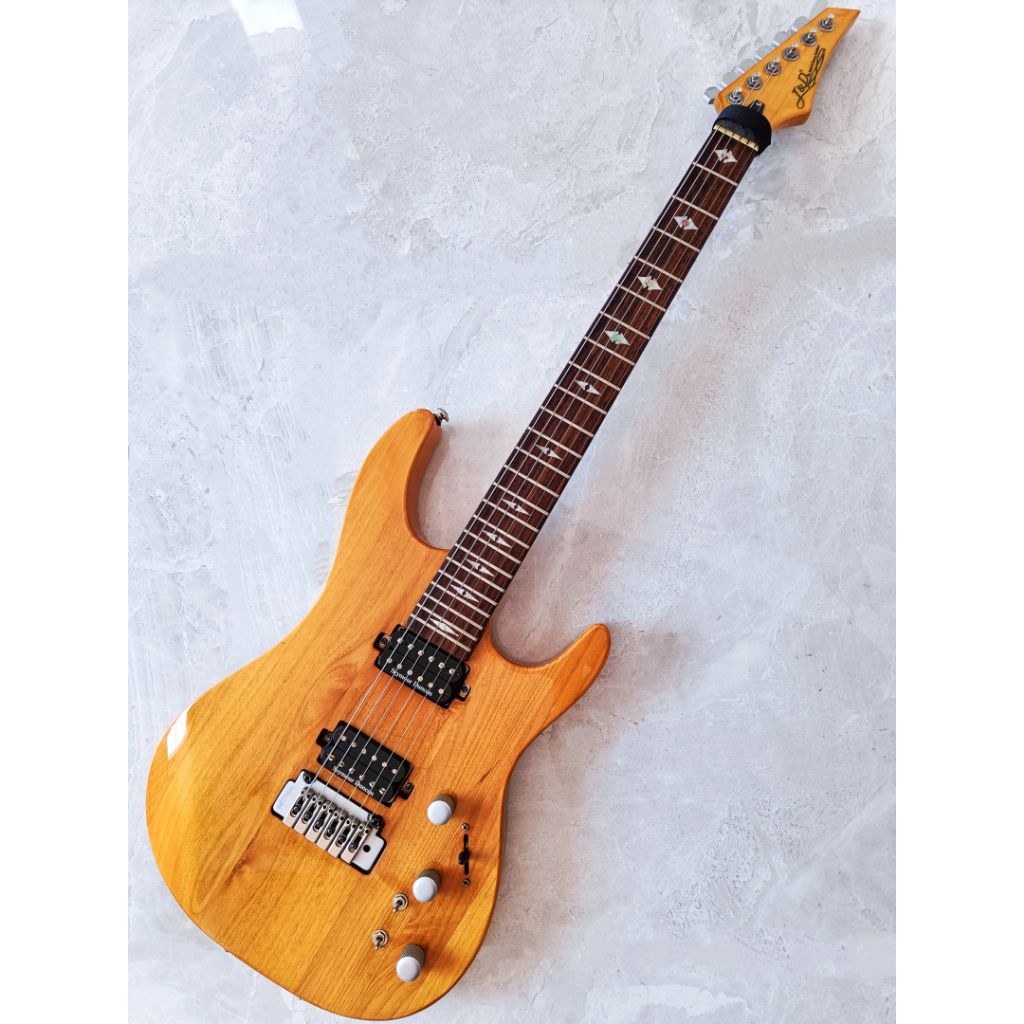 Gitar Listrik Electric Guitar Jack And Donny Brothers JND J&D JD80SA