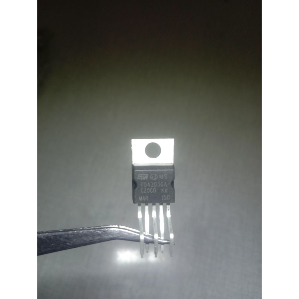 IC suara tda2030