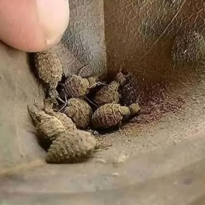 

undur undur/ maju maju hehe;)