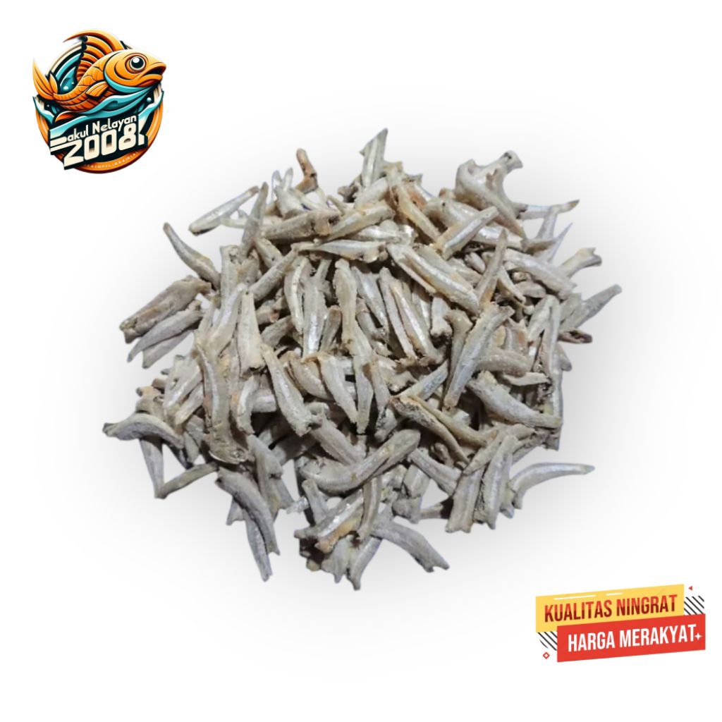 Teri jengki | Ikan teri jengki | Ikan teri