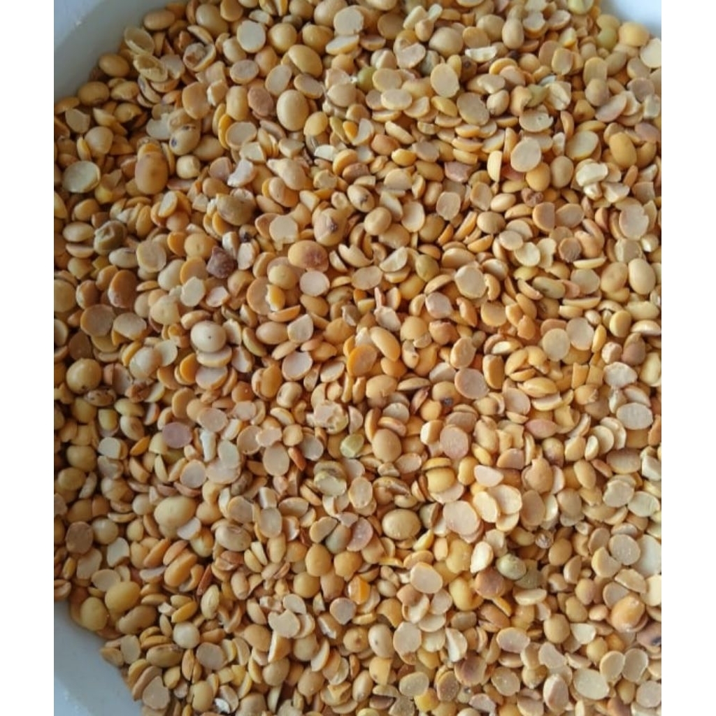 

Kedelai Kupas "Matang Sangrai" 1Kg Untuk Konsumsi