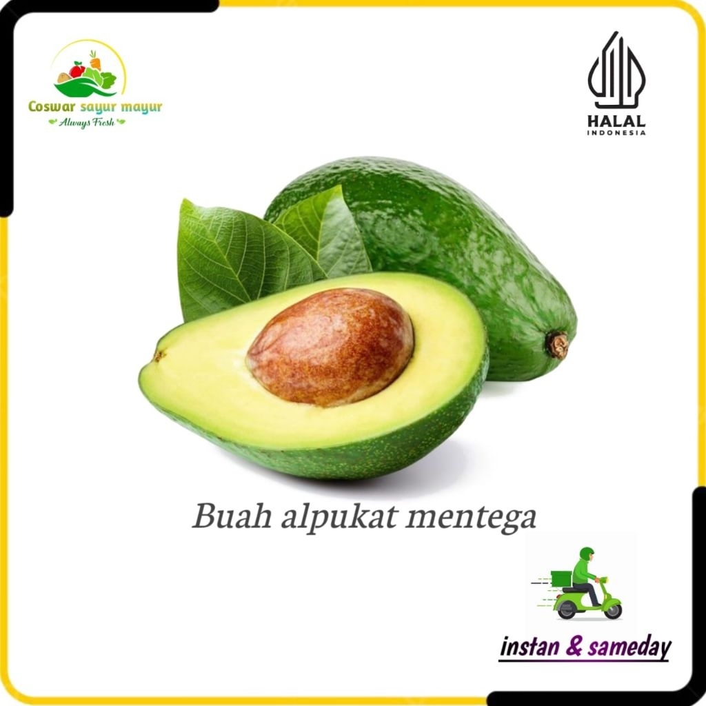 

{ 1 kg } buah alpukat mentega alpukat kualitas terbaik