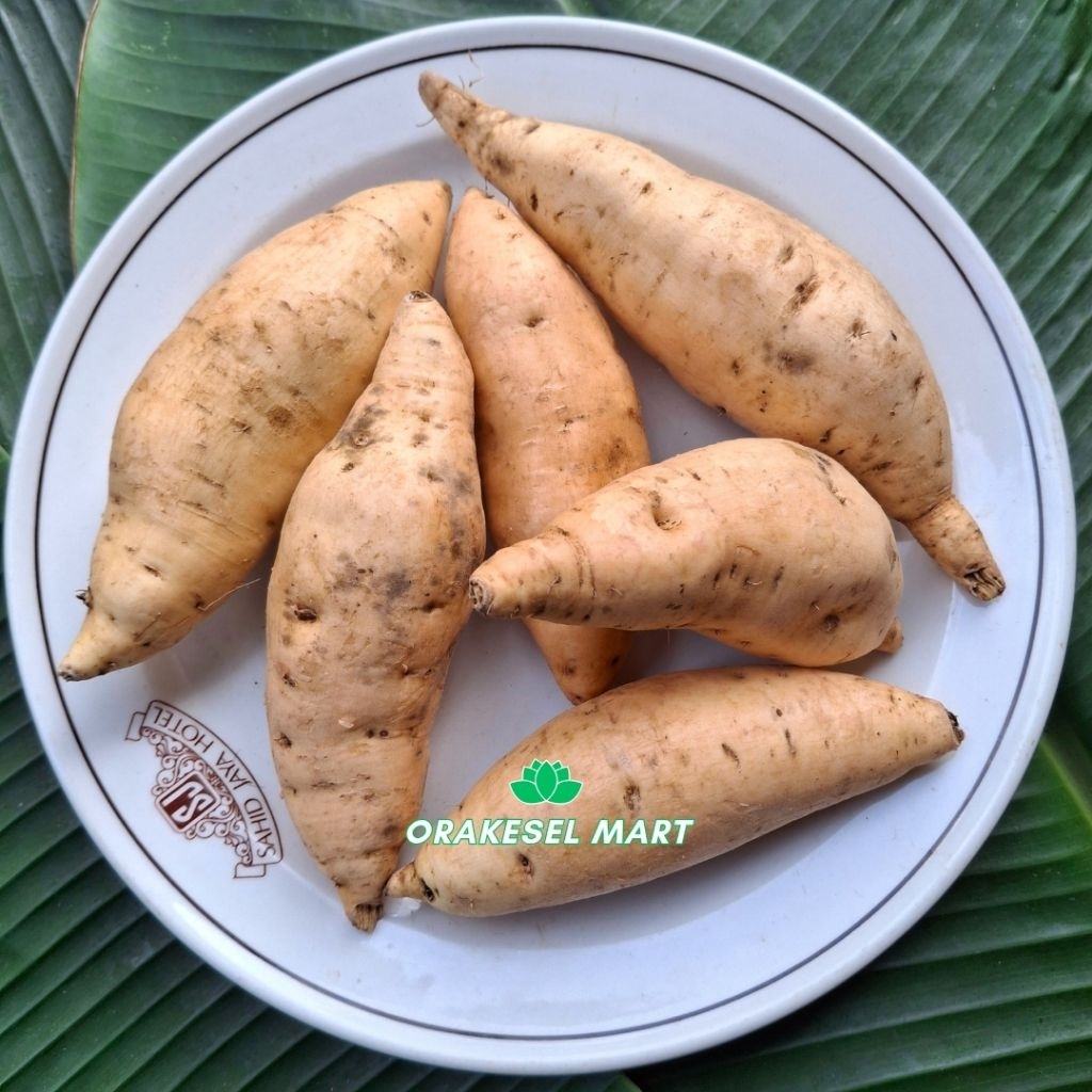 

UBI MADU CILEMBU 1Kg isi 7-9 buah