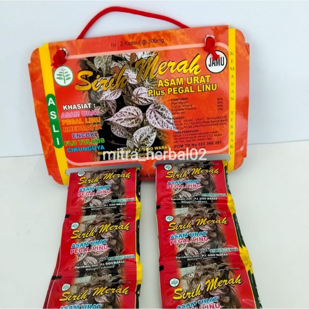 

COD herbal kapsul SIRIH MERAH Original untuk asam urat [grosir]