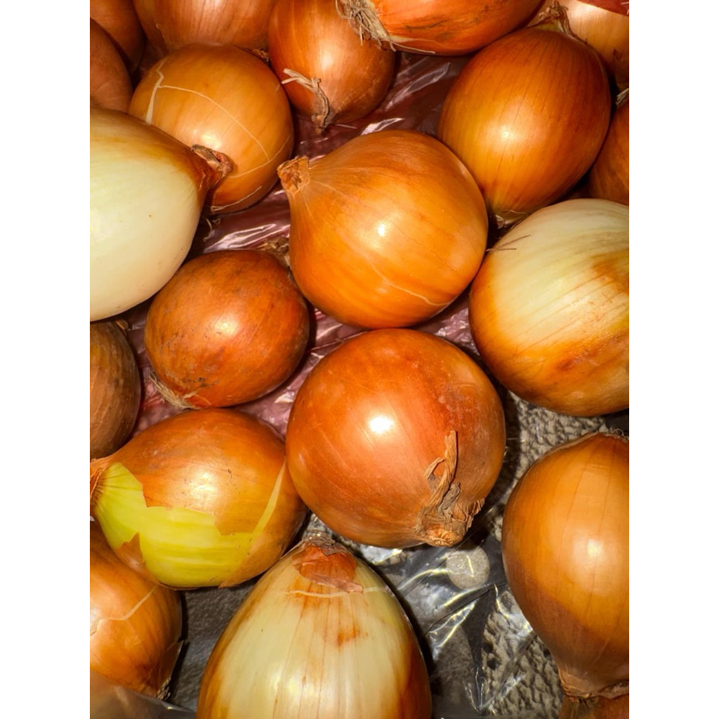 

Bawang Bombay Bulat 500 Gram