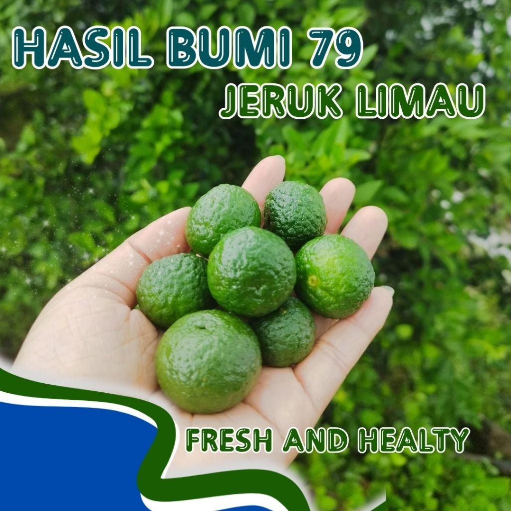 

HB79 JERUK SAMBAL JERUK LIMO SEGAR 500Gram