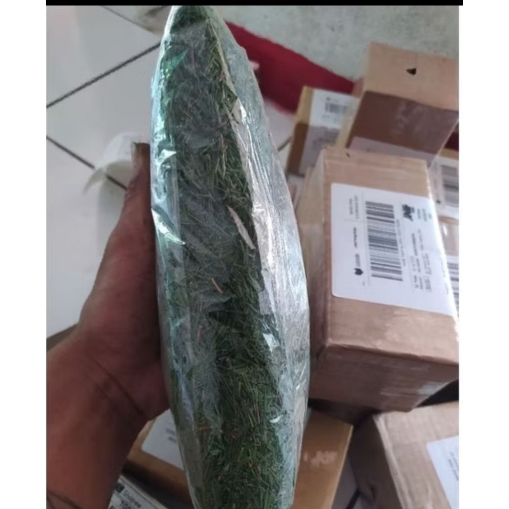

daun pinus segar sudah di cacah paket 500 GRAM
