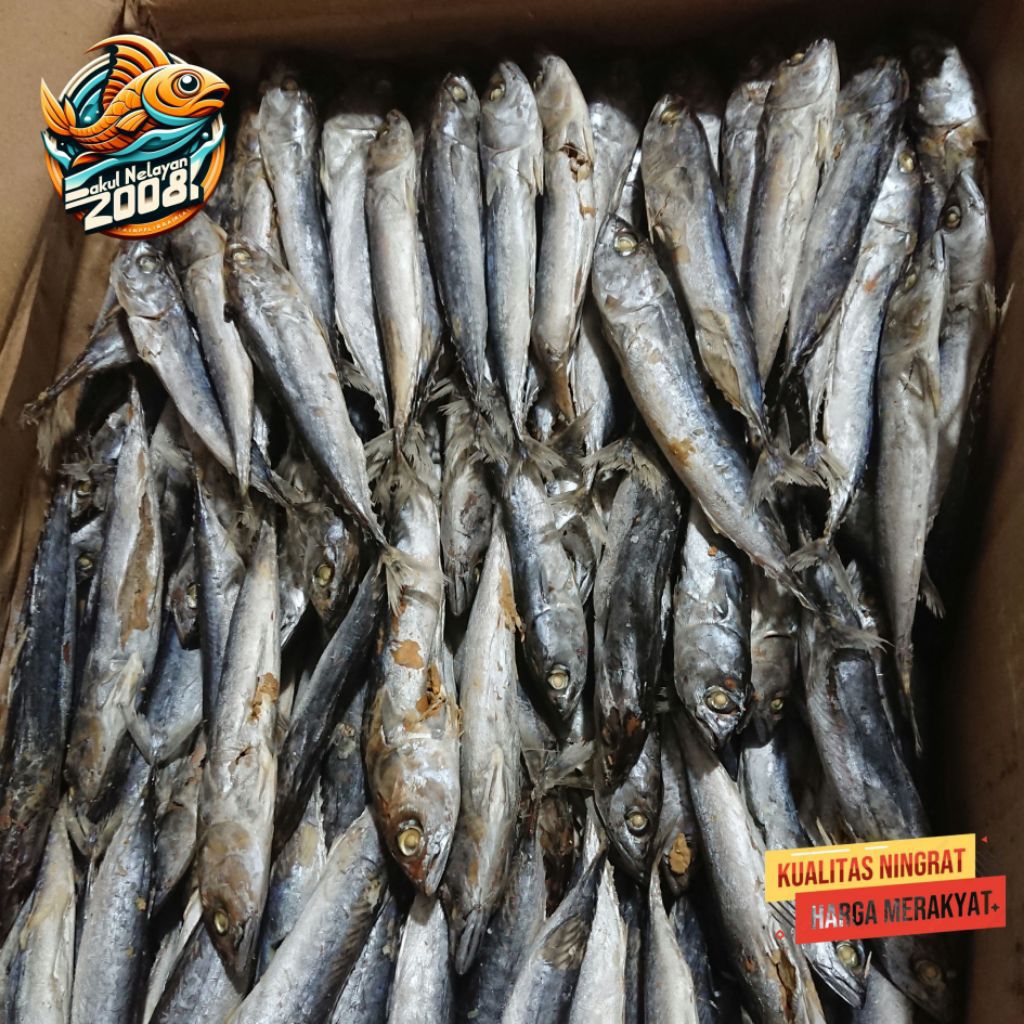 Ikan tongkol rebus | ikan cue asin