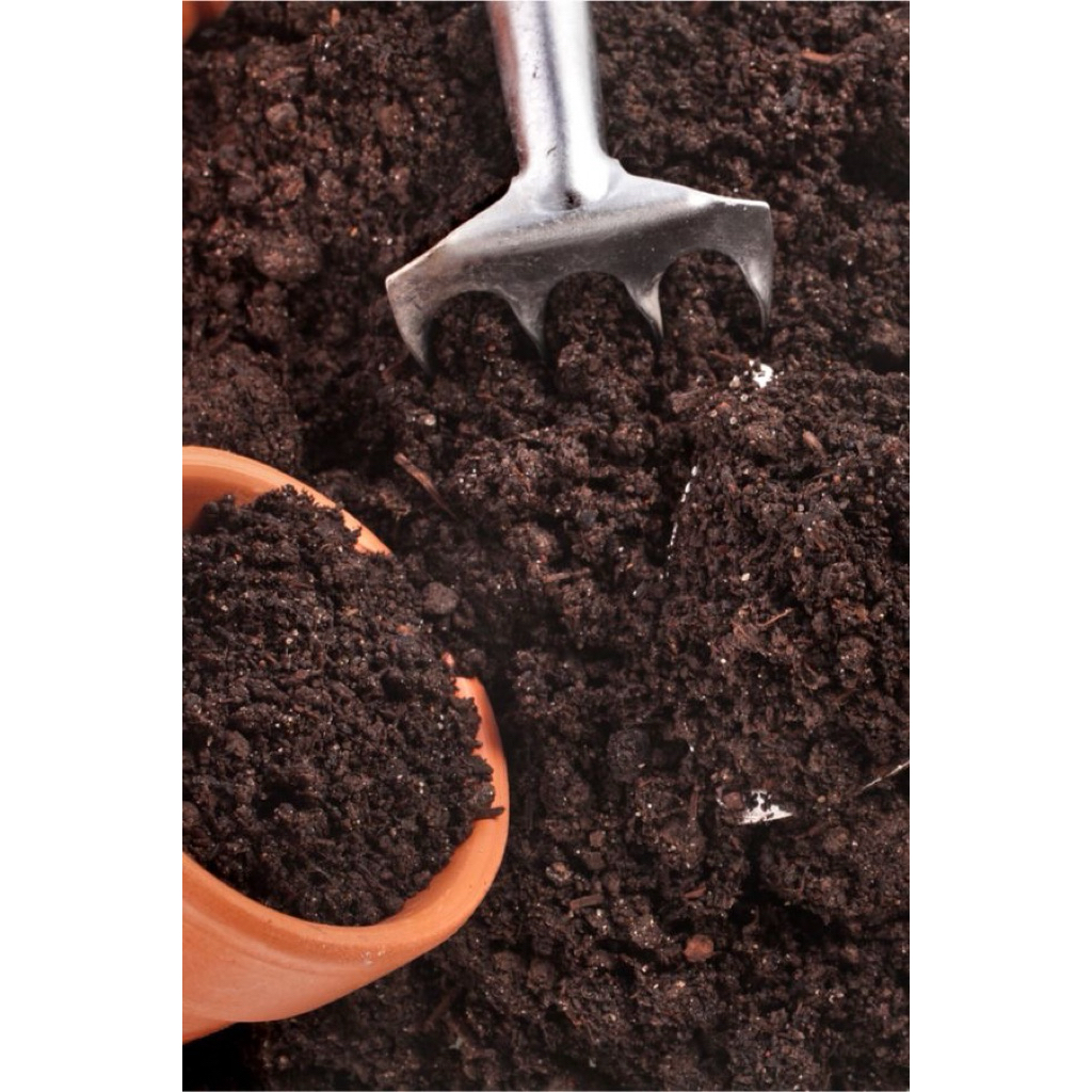 pupuk kandang organik