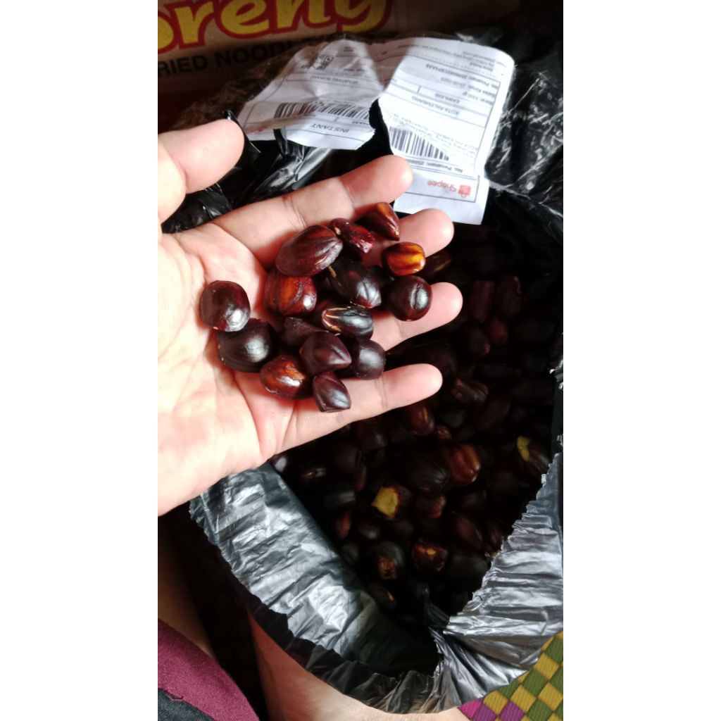 

1 KG KABAU TUA TUA BERKUALITASS