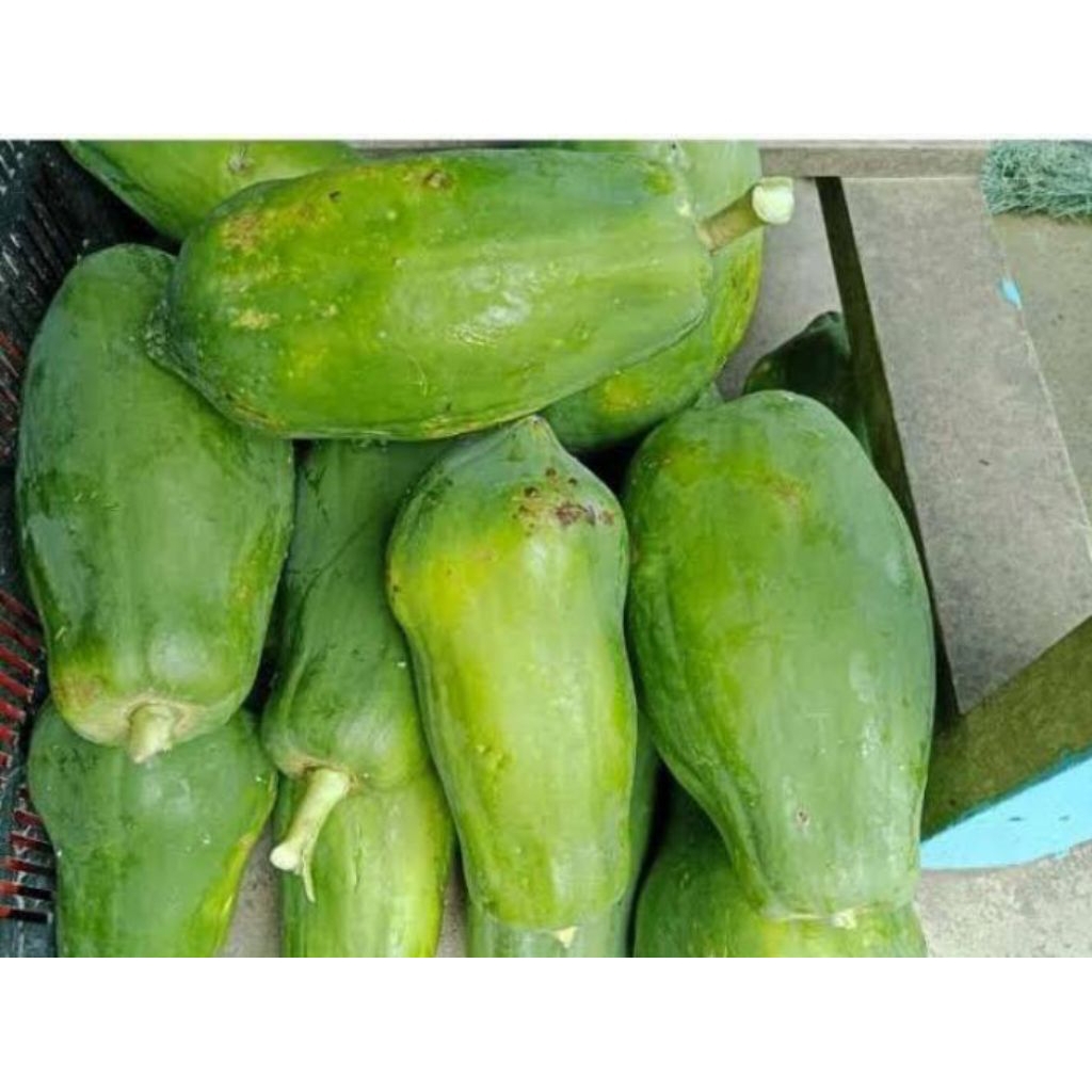 

Pepaya Muda