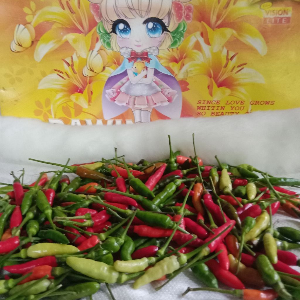 

cabe rawit gunung super pedas 300 gram