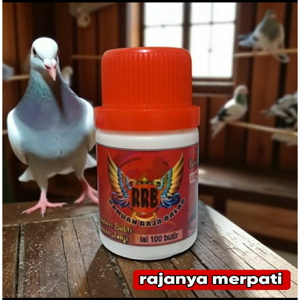 JAMU MERPATI RAMUAN RAJA BALAP ISI 100 BUTIR extrak gingseng pil alus pil edan rjb purwoceng giring 