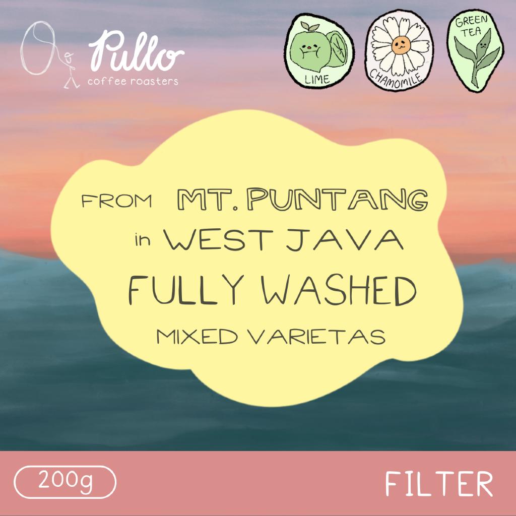 

Filter Roast - Puntang Fully Washed