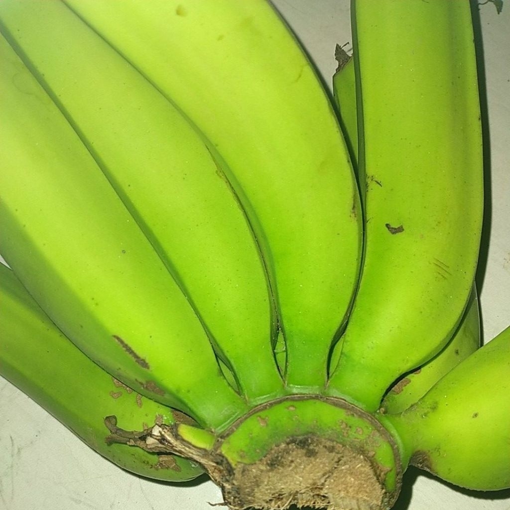 

Pisang tawi