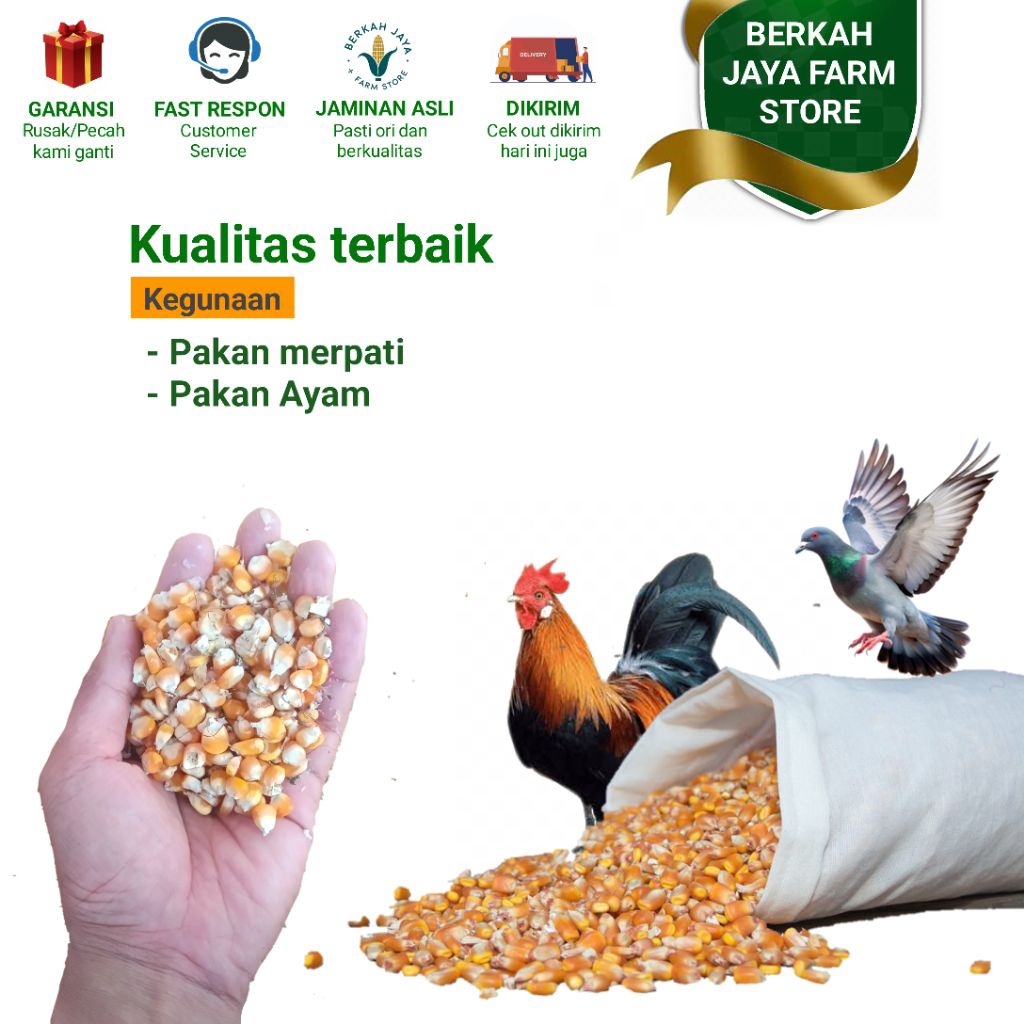 

Jagung selep 1 kg dari bibit merek pertiwi berkualitas Jagung kering / jagung pakan merpati / jagung pakan ayam / Khas pegunungan / jagung kering
