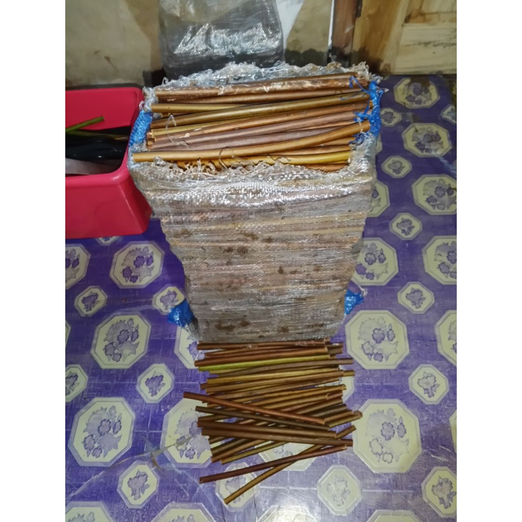 

Paku handam pena kaligrafi1000pcs murah grosir