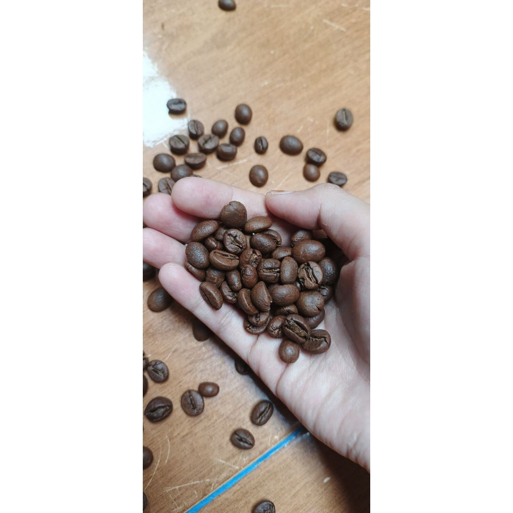 

Biji Kopi Robusta