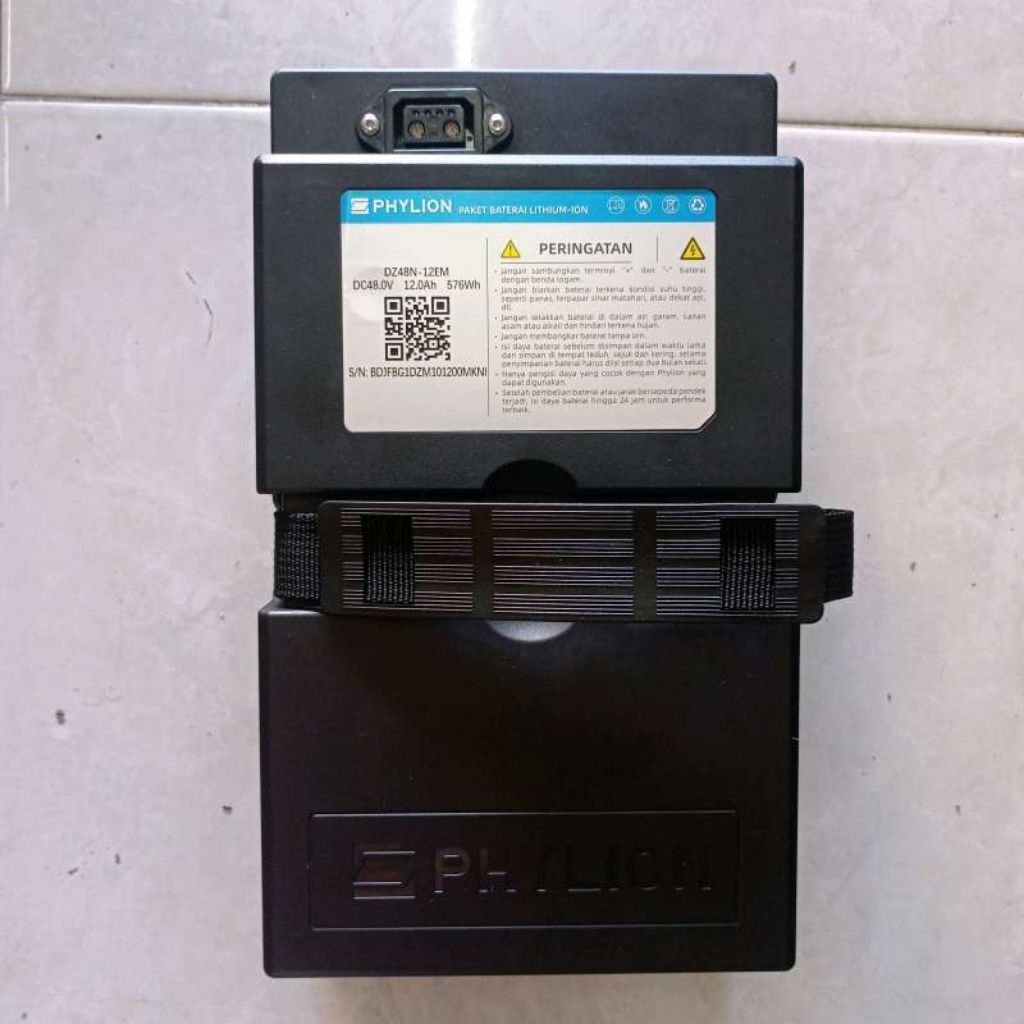 Batre litiium Phylion 48v 12ah