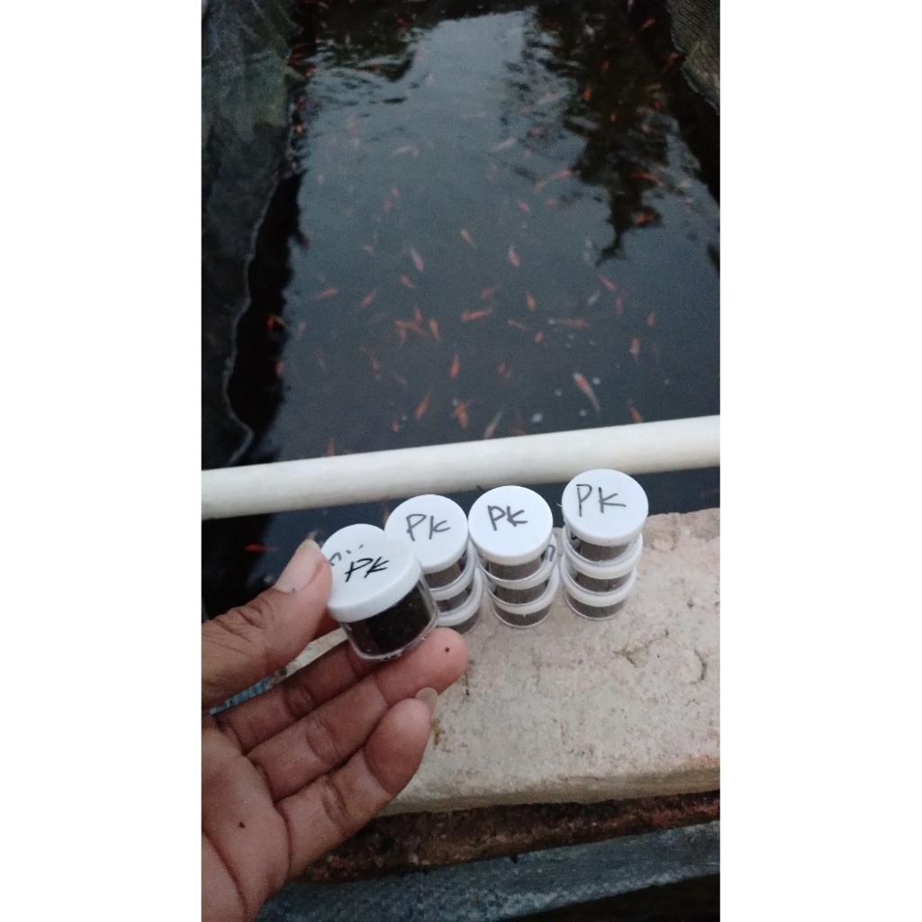PK IKAN / OBAT JAMUR IKAN / KALIUM PERMANGANAT / OBAT CACAR IKAN 10g