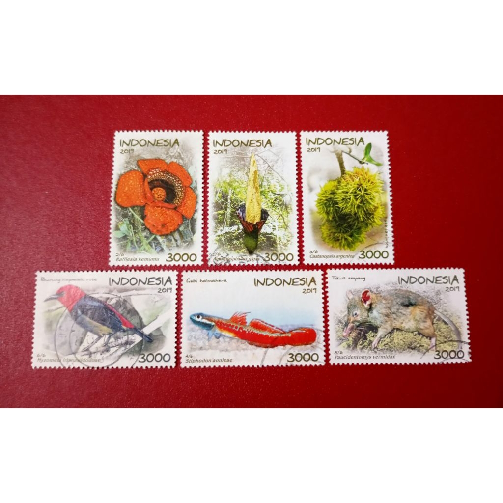 

PRANGKO INDONESIA FLORA FAUNA 2019