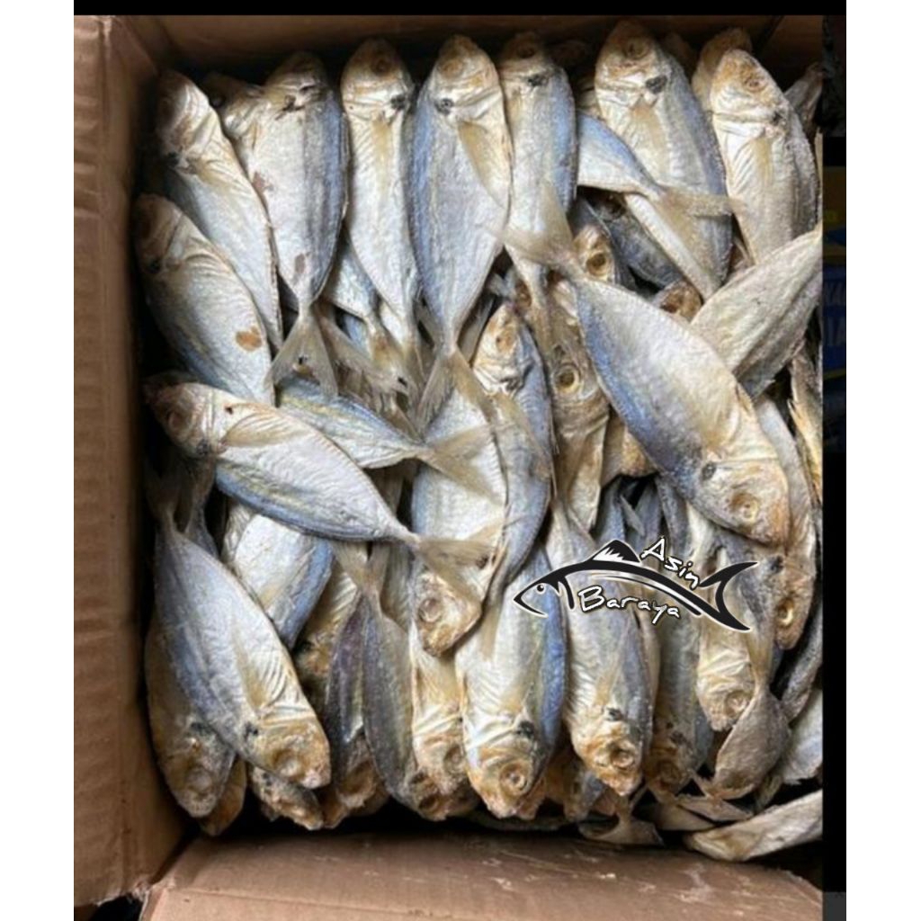 

ikan asin selar ikan selar super