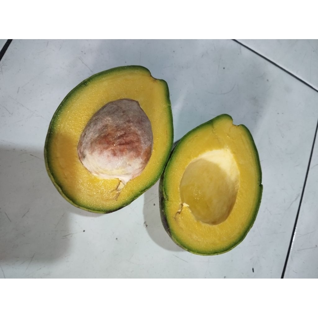 

Alpukat Mentega Lampung 1kg Super