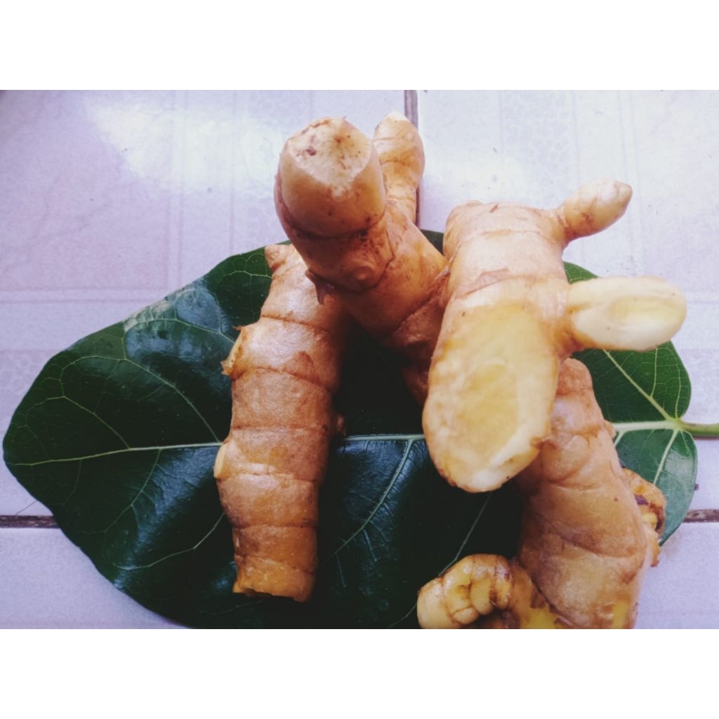 

Temu Mangga segar 1 Kg Asli | Kaya manfaat untuk kesehatan pencernaan, detoks tubuh, & daya tahan tubuh