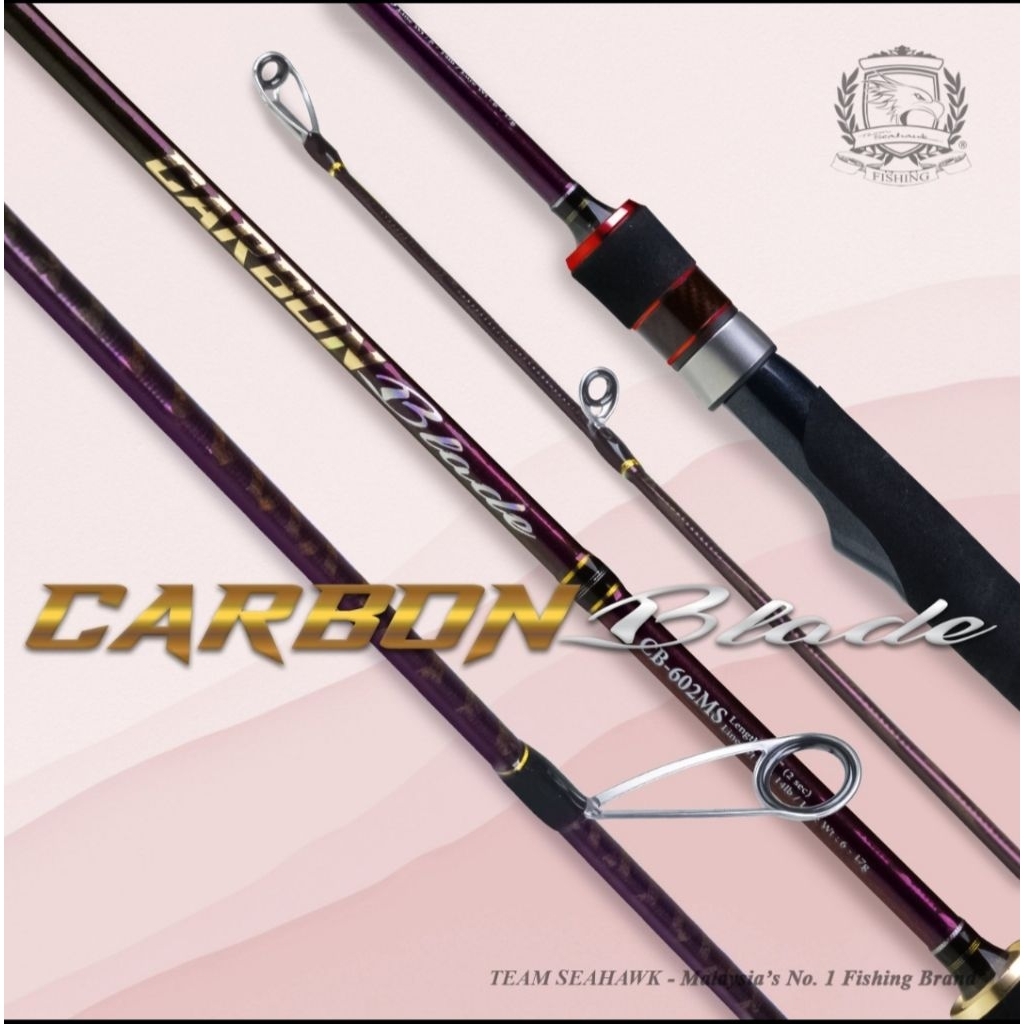 JORAN TEAM SEAHAWK CARBON BLADE 562/165