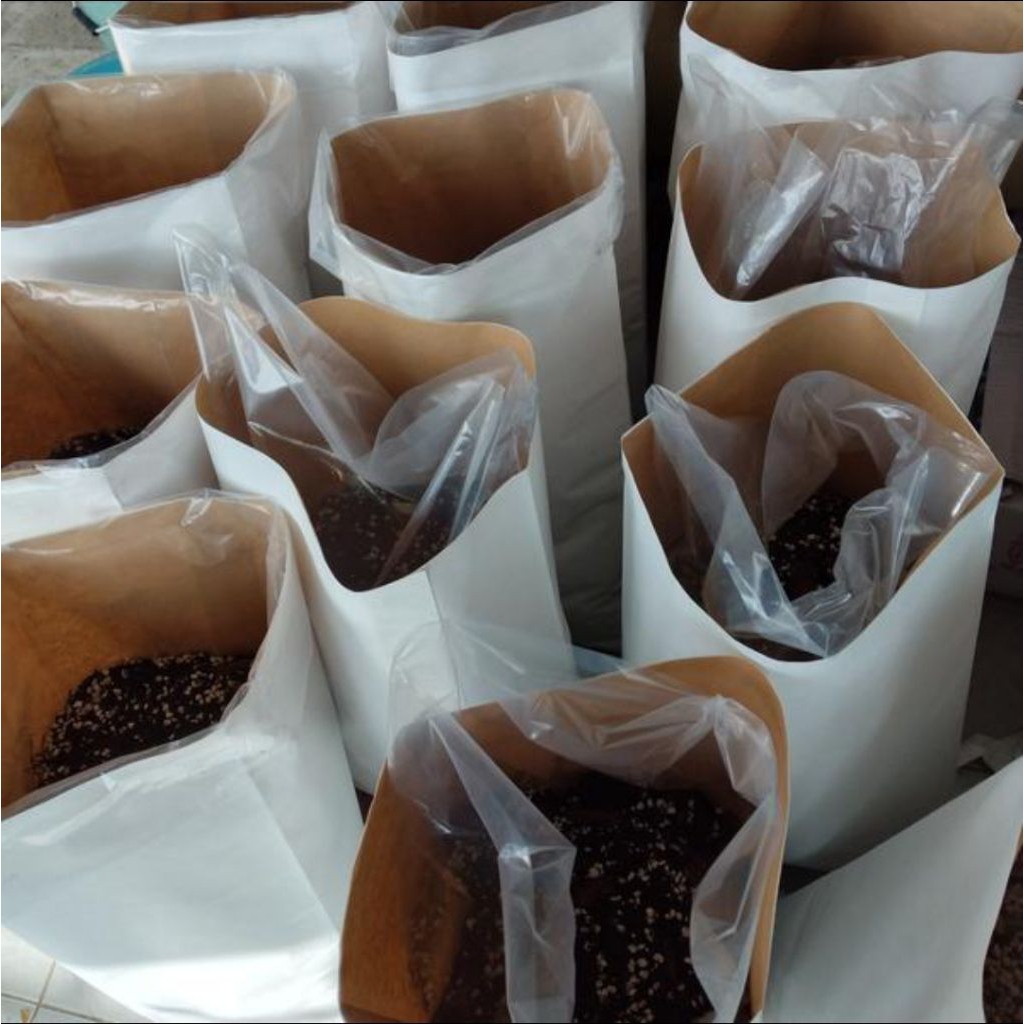 

Karung Kertas 39x60 Cm Kraft Putih 10 Kg 15 Kg Tepung Kemasan Kertas Semen Plastik PE Foodgrade Paper Bag Packaging Elegan