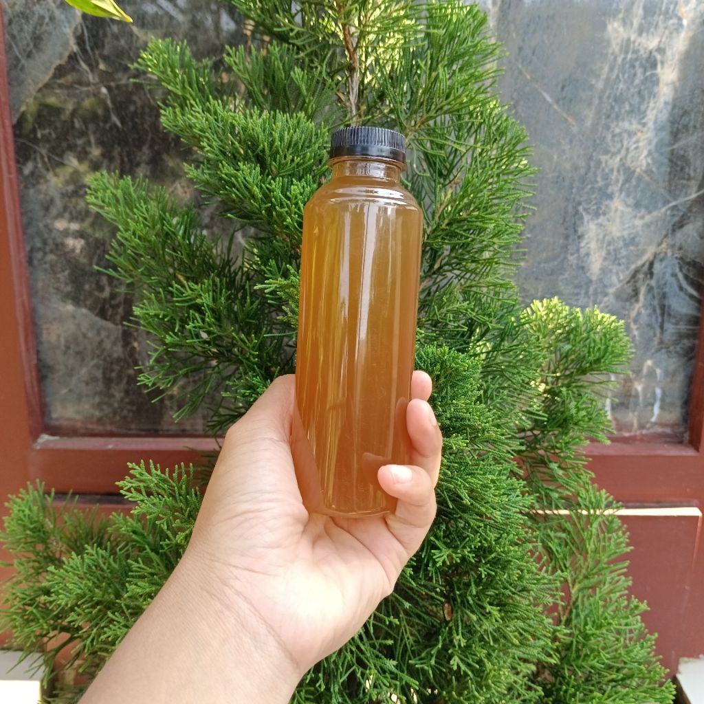 

Air Nira Aren Asli Alami Isi Per 250 Mil