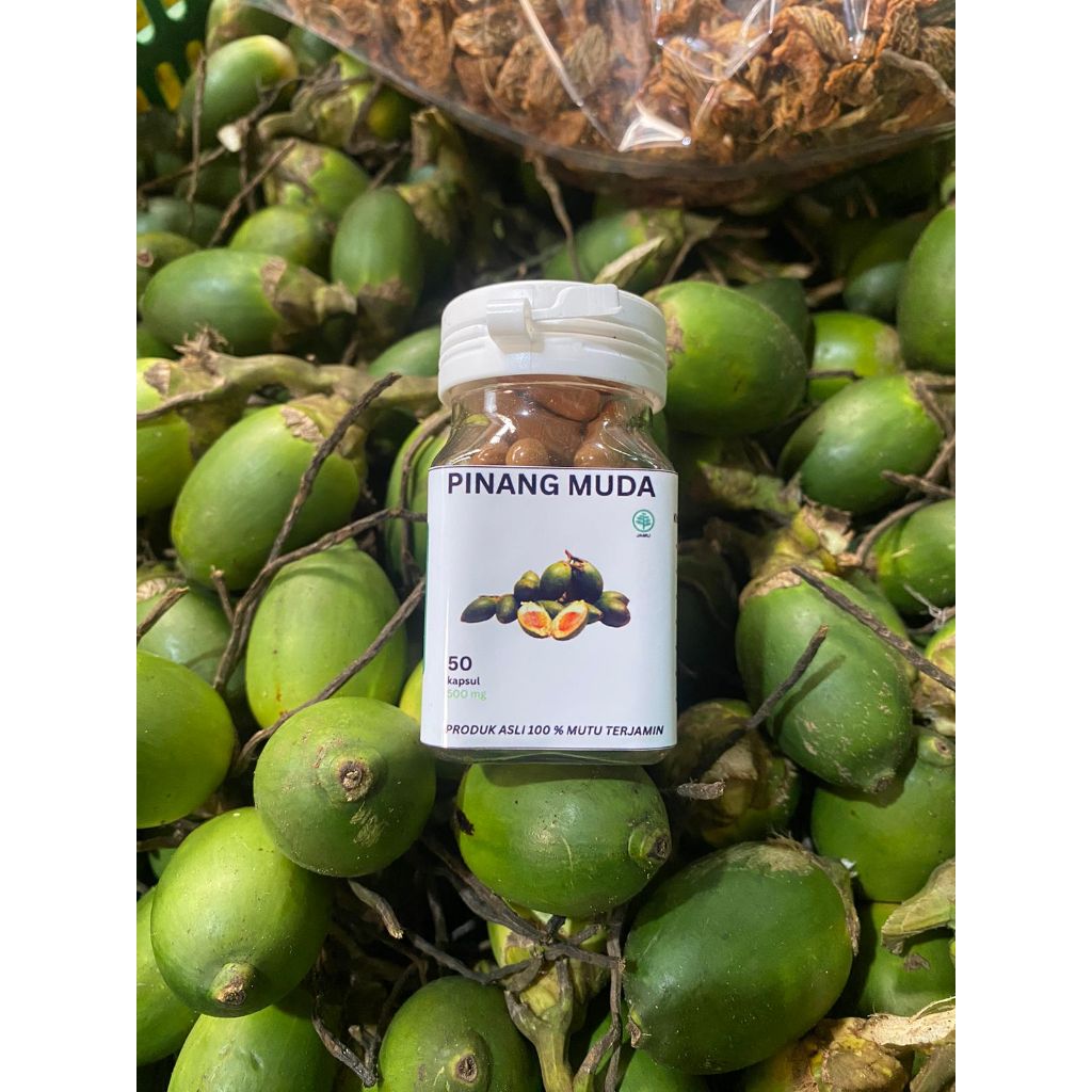 

Kapsul Buah Pinang Asli Murni Serbuk Pinang isi 50 kapsul