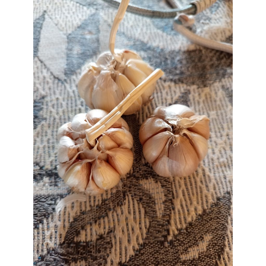 

Bawang Putih Sinco 1kg