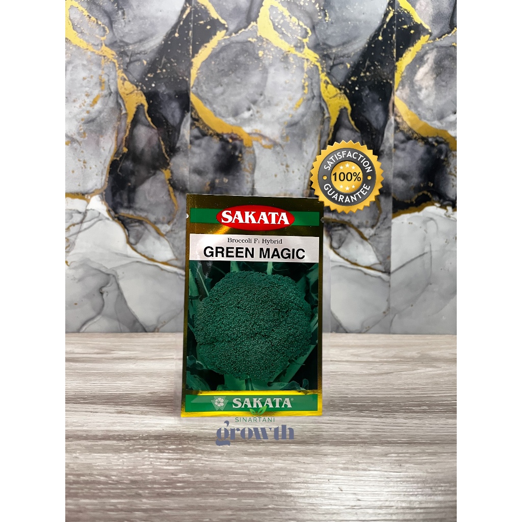 

Benih Brokoli GREEN MAGIC F1 / Benih Brokoli Green Magic