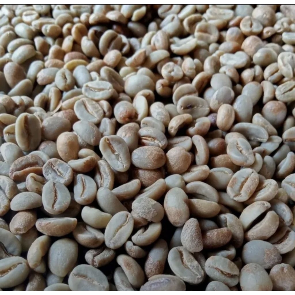 

green bean/biji kopi mentah asalan 1 kg (robusta) sudah bersih dari sisa kulit