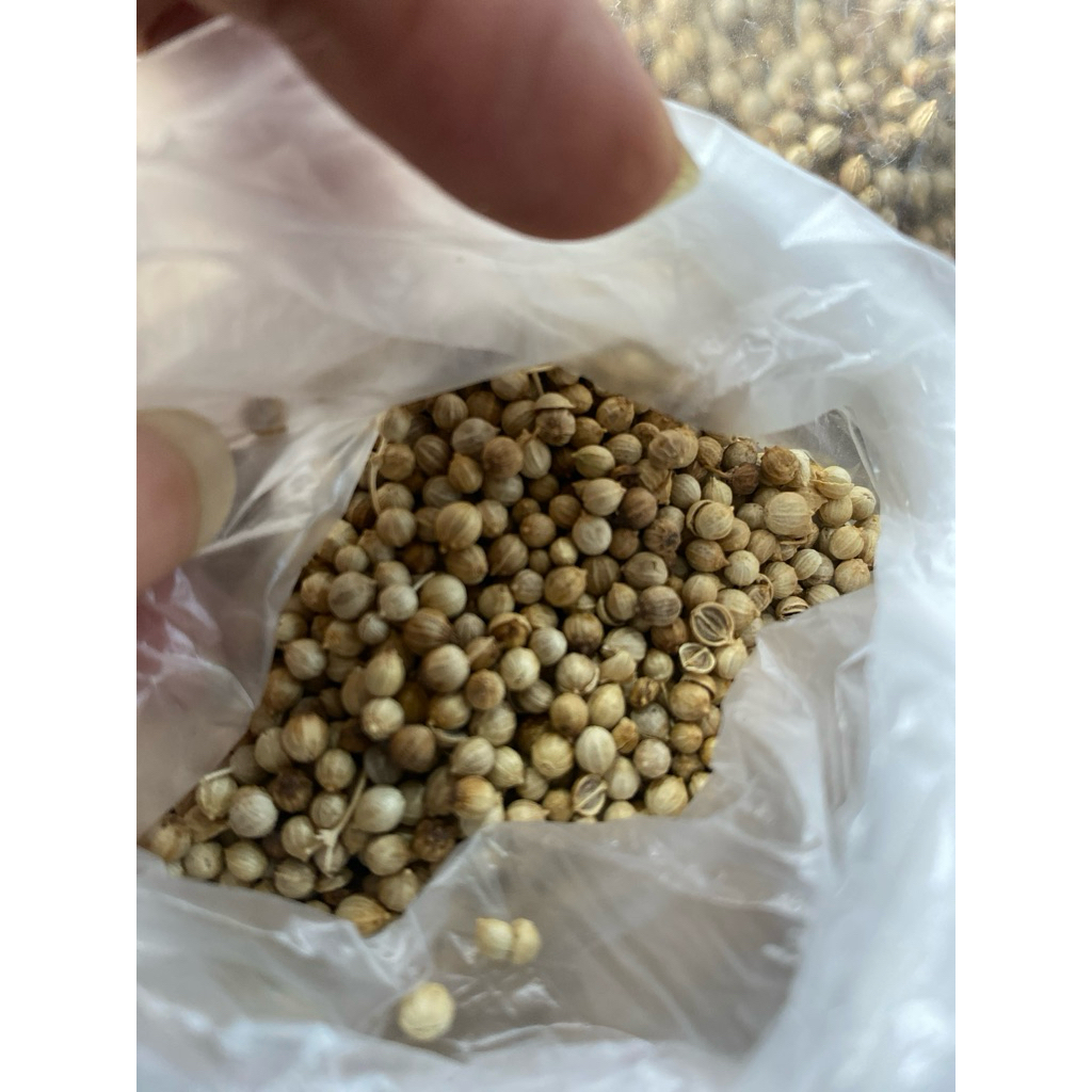 

MERICA PUTIH UTUH dengan 3 Varian Berat 50gr/100gr/250gr